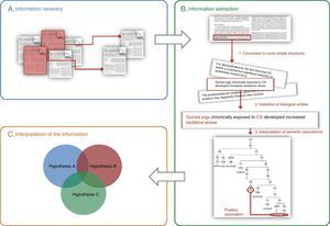 General schematic of the methods used in text and data mining: (A) information recovery, (B) information extraction, (C) interpretation of the information (the integration of various previously corroborated hypotheses can produce a new combined hypothesis). The three steps required for extracting information are shown in panel B: (1) breakdown of the information into basic units (e.g. sentences), (2) identification of biological entities, and (3) interpretation of the relationships between biological entities.