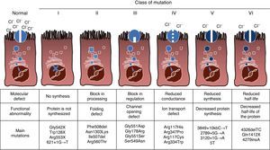 Types of mutations in cystic fibrosis.