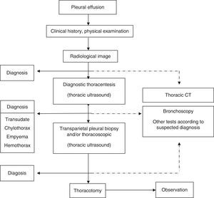 Diagnostic workup of patients with pleural effusion.
