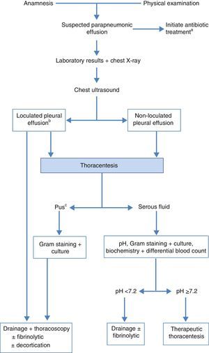 Algorithm for the treatment of parapneumonic effusion. (a) early empirical antibiotic treatment should be initiated in all cases, and then adjusted with the culture results; (b) the presence of loculation can also be based on the findings of CT scan or chest X-ray; (c) also if the pleural fluid is turbid or smelly.