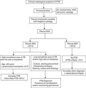 Diagnostic algorithm for patients with suspected pleural tuberculosis (PTB). TB, tuberculosis; ADA, adenosine deaminase.
