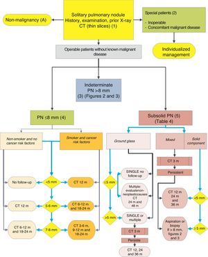 Algorithm for the management of PN: initial classification and observation of SPN≤8mm and subsolid SPN. m: months, PN: pulmonary nodule; SPN: solitary pulmonary nodule; CT: computed tomography, including thin sections. Follow-up with low-radiation CT, provided no growth is detected. Numbers and letters in brackets refer to the sections in the text where they are discussed.