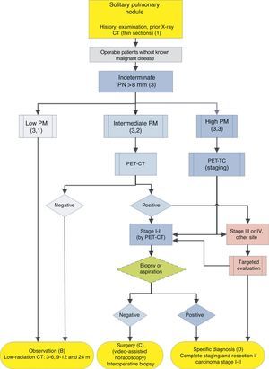 Algorithm for the management of PN>8mm: clinical setting with easy access to PET-CT. m: months, PN: pulmonary nodule; SPN: solitary pulmonary nodule; PET-CT: positron emission tomography with computed tomography; PM: probability of malignancy; CT: chest computed tomography, including thin sections. Follow-up with low-radiation CT, provided no growth is detected. Numbers and letters in brackets refer to the sections in the text where they are discussed.