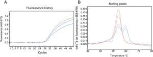 Detection of mutation c.1130insT in the SERPINA1 gene using HybProbe® probes. (A) Real-time monitoring of the amplification process of a 384 bp DNA fragment. (B) Results of the probe/amplicon duplex melting analysis obtained with gDNA samples from 4 patients: 2 homozygous for the wild-type variant (red) and 2 heterozygous carriers of the c.1130insT mutation (blue). The oligonucleotides used were: CGCTTCCTGGGAGGTGT (direct primer), TGGGAGGGATTTACAGTCACA (reverse primer), GGCCATGTTTTTTAGAGGC (sensor probe; 3′-fluorescein) and CCCATGTCTATCCCCCCCGAG (anchor probe; 5′-Cy5 and 3′-phosphate). The reaction mixture (20μl) contained the gDNA sample, 0.2μM of each of the 4 oligonucleotides mentioned, 200μM of each dNTP, 3mM of MgCl2, 1× reaction buffer and 0.2μl of DNA polymerase (Phire® II, Finnzymes). The reactions were incubated in the Roche LightCycler®480 system. After initial denaturation at 98°C for 30s, 50 amplification cycles with the following thermal profile were applied: denaturation, 98°C, 5s; oligonucleotide annealing, 50°C, 5s; primer extension, 72°C, 10s. The amplification was monitored by fluorescence capture (excitation at 483nm and detection at 670nm) at the end of each annealing step. After the amplification, the melting analysis was carried out, which consisted of: 95°C, 1min; 30°C, 1.5min; gradual heating up to 80°C, with 3 fluorescence captures per °C. The melting curve data were processed using the genotyping program installed in the analysis platform.