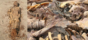 On the left, the mummy before opening. On the right, lung (white arrow) and diaphragmatic pillar (black arrow).