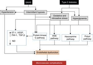 Proposed mechanisms by which SAHS may contribute to the development of diabetic microvascular complications. AGE: advanced glycation end or waste products; ET-1: endothelin-1; NO: nitric oxide; PAI-1: plasminogen activator inhibitor-1; TGF-β: tissue growth factor-β; VEGF: vascular endothelial growth factor.