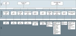 Final diagnoses made by the multidisciplinary committee based on the radiological images, classified according to ATS/ERS guidelines for idiopathic pulmonary fibrosis into usual interstitial pneumonia (UIP), possible UIP and inconsistent with UIP, and histopathological results of the cryobiopsy specimens. Hist, histopathology; MCD, multidisciplinary committee diagnosis; SAD, systemic autoimmune disease; ILD, interstitial lung disease; IPF, idiopathic pulmonary fibrosis; LAM, lymphangioleiomyomatosis; HP, hypersensitivity pneumonitis; LIP, lymphocytic interstitial pneumonia; NSIP, nonspecific interstitial pneumonia; UIP, usual interstitial pneumonia; OP, organized pneumonia; HRCT, high-resolution computed tomography. *Based on radiological images, the suspected diagnosis was OP. **The final diagnosis of peribronchiolar metaplasia was made by SLB.