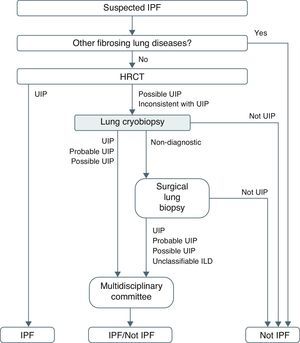 Idiopathic pulmonary fibrosis diagnostic algorithm proposed after systematic use of cryobiopsy before performing surgical lung biopsy.