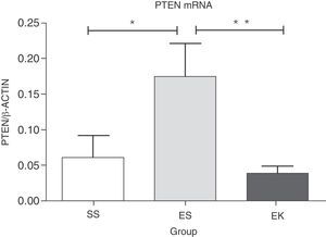 Relative mRNA expression of Akt pathway antagonist (PTEN) in whole lung tissue. The expression level of PTEN was significantly induced in elastase-challenged lungs in contrast to the therapy group. In the therapy group there was a significant decrease in PTEN expression levels, and these were comparable to control. The mRNA levels of the target genes were determined relative to the endogenous reference gene β-actin according to the formula 2 to the power of delta cycle threshold (2ΔCt), where ΔCt=Ct, reference gene–Ct, target gene. Graphs indicate mean values with standard deviation. Data were analysed by means of unpaired t-test to test for the effect of rHuKGF and elastase, respectively. ES=Elastase–Saline (emphysema group); SS=Saline–Saline (healthy group); EK=Elastase–rHuKGF (therapy group). *P<.05 versus the respective control group.