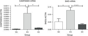 Relative mRNA expression of apoptotic markers (Caspase-9 and Bad) in whole lung tissue. The expression level of Caspase-9 and Bad were significantly induced in elastase-challenged lungs in contrast to the therapy group. In the therapy group there was a significant decrease in Caspase-9 and Bad expression levels, and these were comparable to control. The mRNA levels of the target genes were determined relative to the endogenous reference gene β-actin according to the formula 2 to the power of delta cycle threshold (2ΔCt), where ΔCt=Ct, reference gene–Ct, target gene. Graphs indicate mean values with standard deviation. Data were analysed by means of unpaired t-test to test for the effect of rHuKGF and elastase, respectively. ES=Elastase–Saline (emphysema group); SS=Saline–Saline (healthy group); EK=Elastase–rHuKGF (therapy group). *P<.05 versus the respective control group.