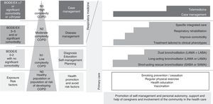 Adaptation of the chronic care model to Spanish COPD guidelines (GesEPOC).32 Four levels of complexity are proposed. L0: healthy population or population at risk of developing COPD. In addition to encouraging regular exercise and healthy lifestyle habits, it is essential to develop primary and secondary smoking prevention policies. L1: patients with low-complexity COPD will be identified by a BODE or BODEx index score of 0–2 points, with no significant comorbidities. It is essential to ensure a definitive diagnosis in these patients, and to encourage self-care. In addition to the measures listed in L0, these patients should be treated with bronchodilators (particularly long-acting), either as monotherapy or dual bronchodilation, according to the intensity of the symptoms. L2: Patients with moderately complex COPD will be identified by a BODE or BODEx index score of 3–6 points or by the presence of a significant comorbidity. Disease-management criteria should be used in this group. In addition to bronchodilator treatment, the patient's clinical phenotype should be characterized and treatment adjusted according to GesEPOC, to improve the comorbidity and assess respiratory rehabilitation. Assessment of specific integrated care is also recommended in this patient group. L3: high complexity patients. These patients will be identified by a BODE or BODEx index score ≥7, by various concomitant chronic diseases, or by 2 or more hospital admissions (h) in the previous year. Individualized case management should be proposed in this group, incorporating all the previous therapeutic measures and an integrated and multidisciplinary approach. Telemedicine may also be considered as a support tool in some cases.