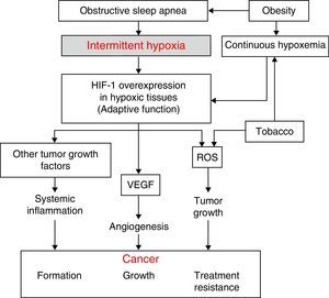 Physiopathological hypothesis on the relationship between SAHS and cancer and the role of the most relevant confounding factors. HIF-1, hypoxia-induced factor; ROS, reactive oxygen species; VEFG, vascular endothelial growth factor.