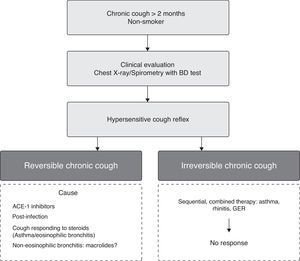 Practical management of patients with chronic cough.