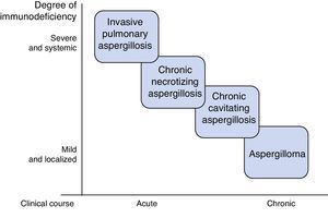 Association between degree of immunodeficiency and type of pulmonary aspergillosis.