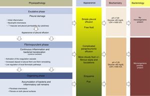 Physiopathology, appearance, biochemical parameters and microbiology of parapneumonic pleural effusion.
