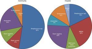 Microbiology of community- and hospital-acquired pleural infection.20 MRSA, Methicillin-resistant Staphylococcus aureus.