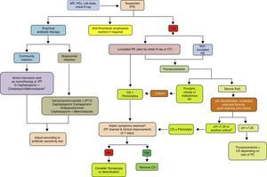 Treatment algorithm for parapneumonic pleural effusion. CD, chest drainage; CT, computed tomography; CU, chest ultrasound; G, generation; MR, medical record; PE, pleural effusion; PEx physical examination; PF, pleural fluid; PPE, parapneumonic pleural effusion. 1 If allergic to penicillin: quinolone+metronidazole. 2 If the pH cannot be determined, use LDH>1000IU/l or glucose<60mg/dl.