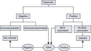 Tuberculin and IGRA interpretation algorithm.12