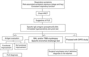 Proposed diagnostic algorithm for farmer
