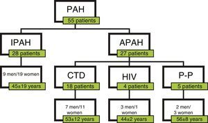 Patient characteristics according to PAH type. APAH: associated pulmonary arterial hypertension; CTD: connective tissue disease; HIV: human immunodeficiency virus; IPAH: idiopathic pulmonary arterial hypertension; PAH: pulmonary arterial hypertension; P-P: portopulmonary hypertension.
