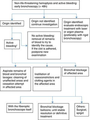 Bronchoscopy algorithm in non-life-threatening hemoptysis.