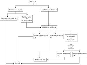 Algorithm for mediastinal lymph node staging. EBUS/EUS unevaluable: an EBUS sample is considered unevaluable when it does not contain lymphocytes and only contains blood or bronchial cells or fibrosis, and it cannot be confirmed to be a lymph node puncture. If it contains tumor cells but nodal origin cannot be confirmed by the pathology study, this can be assumed as the puncture is guided by ultrasonography. LN, lymph nodes; Trt., treatment; VM, video-assisted mediastinoscopy. *This also includes other surgical techniques such as extended cervical mediastinoscopy, anterior mediastinoscopy, or video-assisted thoracoscopy when suspected lymph nodes are inaccessible by video-assisted mediastinoscopy, as is the case for lymph node stations 5 and 6 in left upper lobe carcinomas.