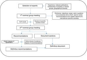 Phases in the development of the consensus document. SRL: systematic review of the literature.