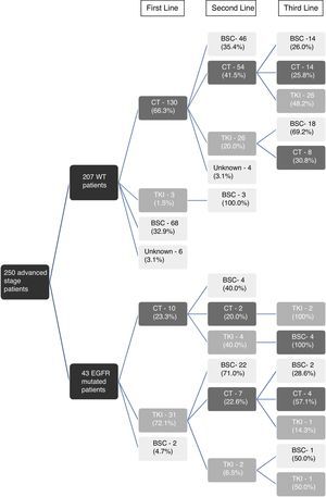 Types of treatments of the 250 patients with advanced disease. EGFR – epidermal growth factor receptor; WT – wild type; CT – chemotherapy; TKI – tyrosine-kinase inhibitor; BSC – best supportive care.