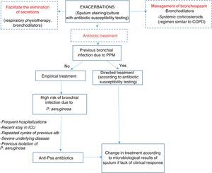 Algorithm for the management of exacerbations. antiPsa: anti-pseudomonas; Atb: antibiotic; COPD: chronic obstructive pulmonary disease; ICU: Intensive Care Unit; PPM: potentially pathogenic microorganisms. For choice of antibiotic and posology, see Table 8.