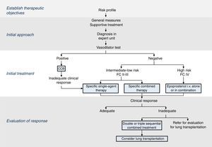 Therapeutic algorithm for pulmonary arterial hypertension. CCB: calcium channel blockers; FC: functional class.