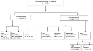 Distribution of patients by risk level and GesEPOC clinical phenotype. The ACO phenotype was defined as having a diagnosis of bronchial asthma or clinical symptoms consistent with asthma, in addition to a positive bronchodilator test greater than or equal to 15%. ACO: asthma-COPD overlap phenotype; CB: chronic bronchitis.