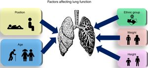 Factors affecting lung function.