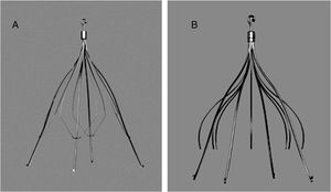 Günther® and Celect® filters used in this study.