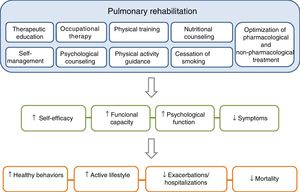 The components of a complete, integrated pulmonary rehabilitation program have a direct and positive physical and psychological effect on patients, helping them to become more proactive toward their disease, acquiring healthy lifestyle behaviors, thus reducing the risk of exacerbations and mortality. Adapted from Spruit et al.27