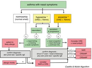 Diagnostic algorithm based on the loss of smell to discriminate between rhinitis and chronic rhinosinusitis in asthmatic patients. The figure shows the diagnostic algorithm for asthma patients with nasal symptoms to discriminate between rhinitis, with or without allergy, and chronic rhinosinusitis, with or without nasal polyps. CRSsNP: chronic rhinosinusitis without nasal polyps; CRSwNP: chronic rhinosinusitis with nasal polyps; NAR: non-allergic rhinitis; VAS: visual analog scale. *In case of hyposmia/anosmia, other causes, such as a head trauma (e.g., accident) or a viral syndrome (e.g., common cold or flu), should always be ruled out first.