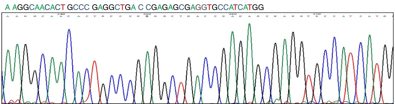 fig0005