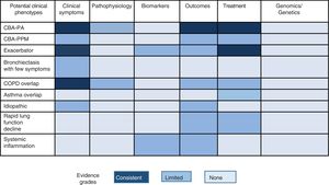 Proposal for possible clinical phenotypes in bronchiectasis and the current scientific evidence. COPD: chronic obstructive pulmonary disease; CBI: chronic bronchial infection; PA: Pseudomonas aeruginosa; PPM: potentially pathogenic microorganisms.