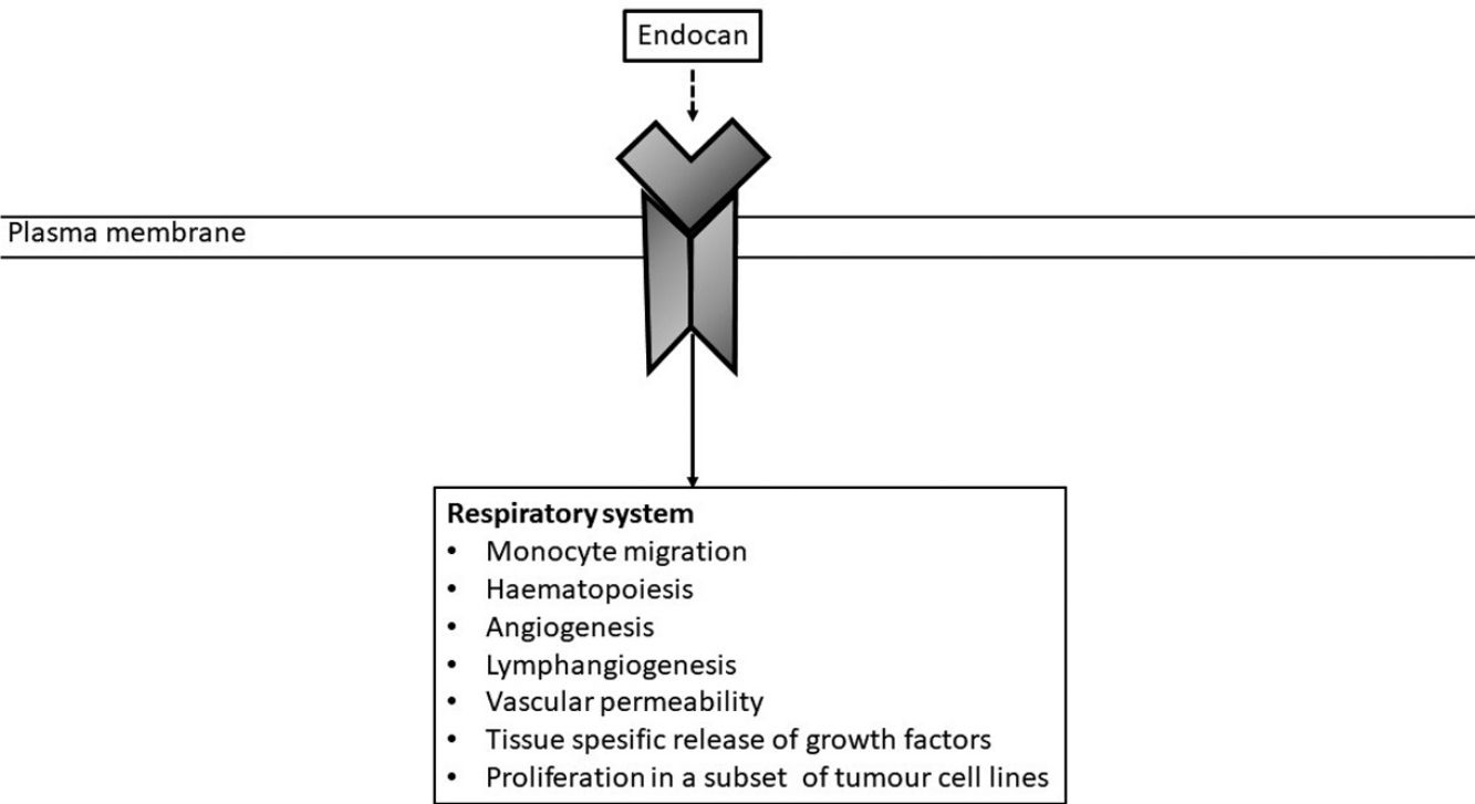 fig0020