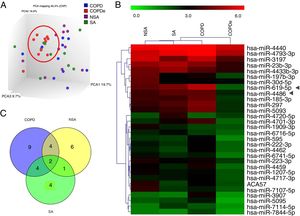 MiRNA microarray profiling of NSA, SA, COPD and COPDe discovery groups. (A) Three-dimensional principal component analysis (PCA) plot showing the normalized signal values of the 40 microarray from non-smoking asthmatics (NSA), smoking asthmatic (SA), chronic obstructive pulmonary disease (COPD) and eosinophilic COPD (COPDe) patients. (B) Heat map representation of an unsupervised hierarchical clustering of the 30 significant differentially expressed microRNAs in comparisons including COPDe group. Arrow heads show miR-619-5p and miR-4486 miRNAs. (C) Venn diagram of significant differentially expressed miRNAs in all pairwise comparisons including COPDe.