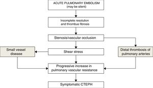 Pathophysiology of chronic thromboembolic pulmonary hypertension.