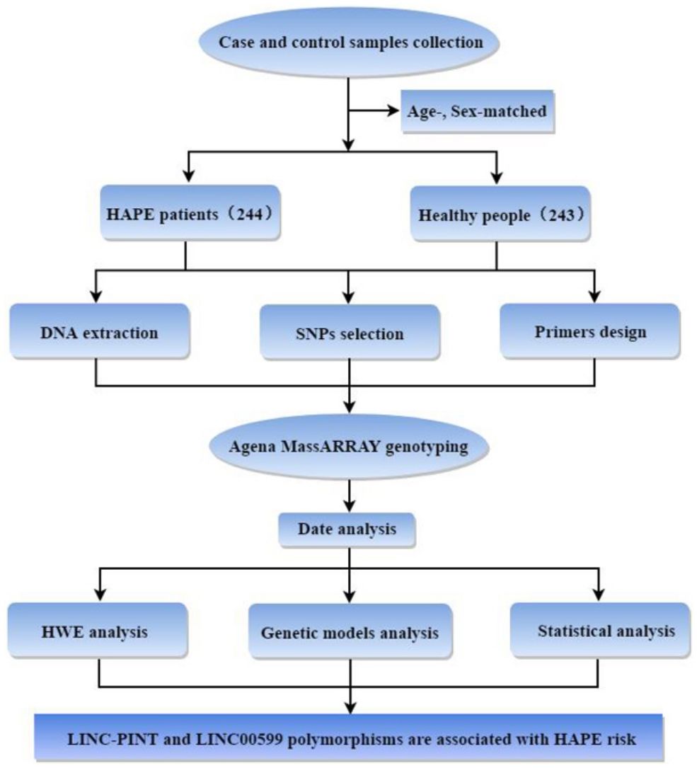 fig0005