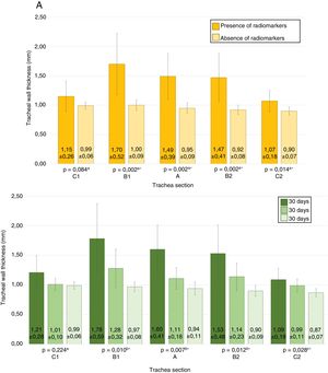 Tracheal wall thicknesses in CT study. Graph A: Measurements according to the presence or absence of radiomarkers. Graph B: Measurements according to post-implantation time. aSignificance by Student