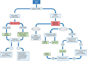 Summary of management of COPD patients in whom potentially pathogenic microorganisms are isolated. GNB: gram-negative bacilli; COPD: chronic obstructive pulmonary disease; CBI: chronic bronchial infection; PPM: potentially pathogenic microorganisms.