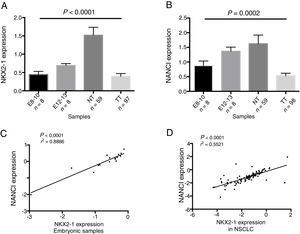 (A) NKX2-1 and (B) NANCI expression in embryonic (E) samples, non-tumoral tissue (NT) and tumoral tissue (TT). Pearson correlation graph of NKX2-1 and NANCI expression in embryonic samples (C) and NSCLC (D).