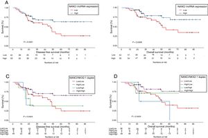 Kaplan–Meier analysis of disease-free survival (DFS) and overall survival (OS) according to NANCI expression levels (A and B) and NANCI/NKX2-1 duplex expression (C and D).