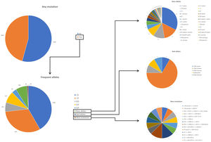 Distribution of mutations found in the cohort.