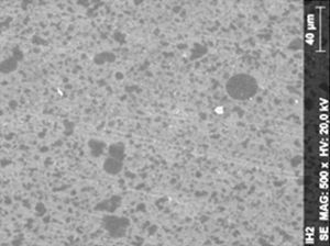 SEM micrograph of reinforced zinc oxide-eugenol cement specimen of control group (500×).