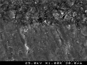 SEM photograph of resin–enamel interfaces with Concise™ (G1) observed at ×1000.