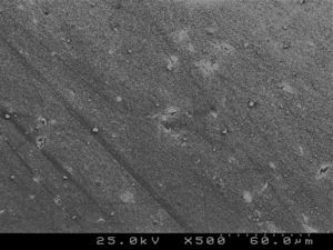 SEM photograph of the composite resin cement Heliosit® Orthodontic observed at ×500.