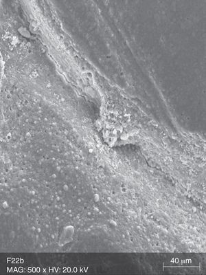 SEM microphograph of a specimen of group FW22 (500×).